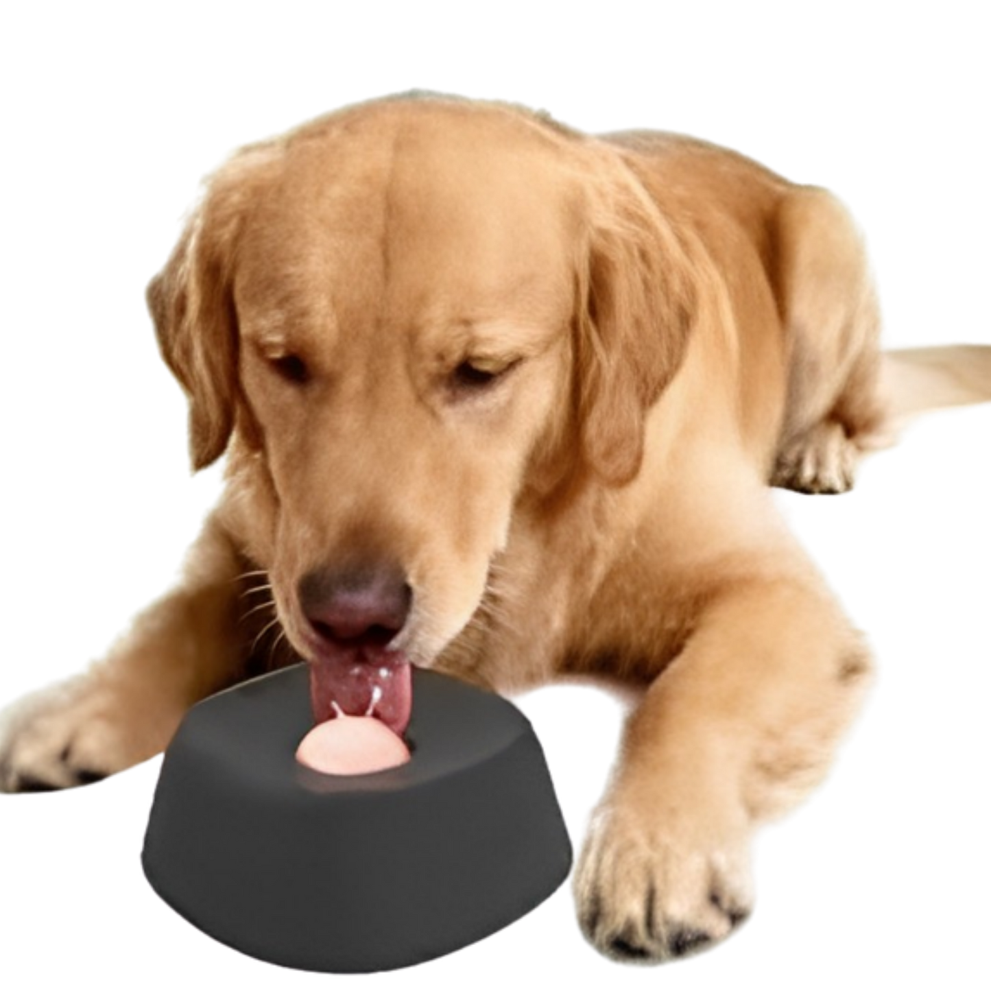 CalmiBowl
